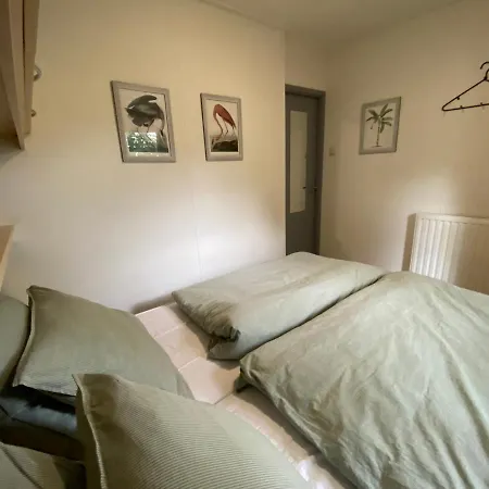 Chalet Ruim En Modern In De Veluwse Bossen *