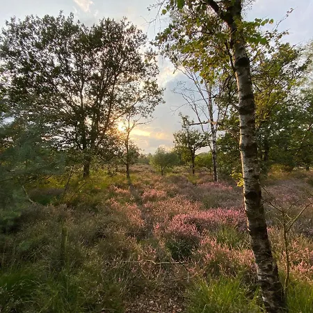Ruim En Modern In De Veluwse Bossen Alpesi faház Putten