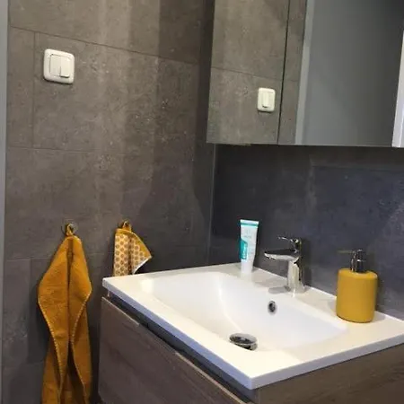 Ruim En Modern In De Veluwse Bossen Chalet *