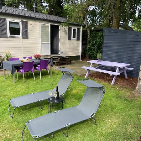 Ruim En Modern In De Veluwse Bossen Chalet