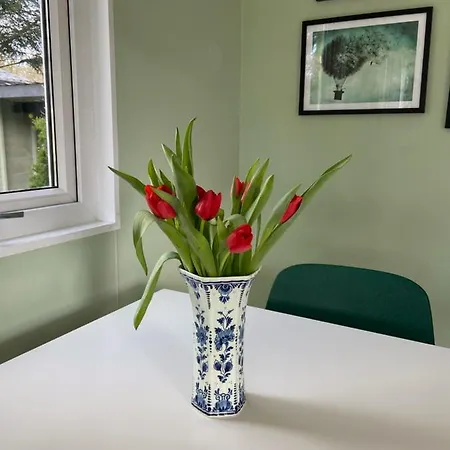 בקתה Ruim En Modern In De Veluwse Bossen