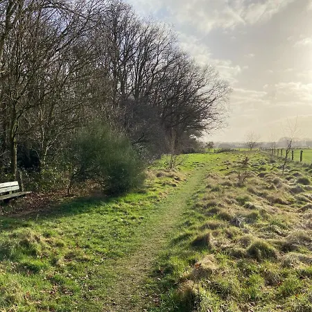 Chalet Ruim En Modern In De Veluwse Bossen Putten