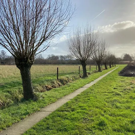 Ruim En Modern In De Veluwse Bossen Chalet Putten