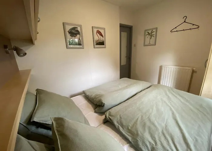 Chalet Ruim En Modern In De Veluwse Bossen *