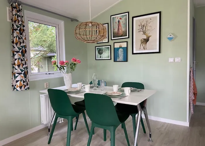 Chalet Ruim En Modern In De Veluwse Bossen