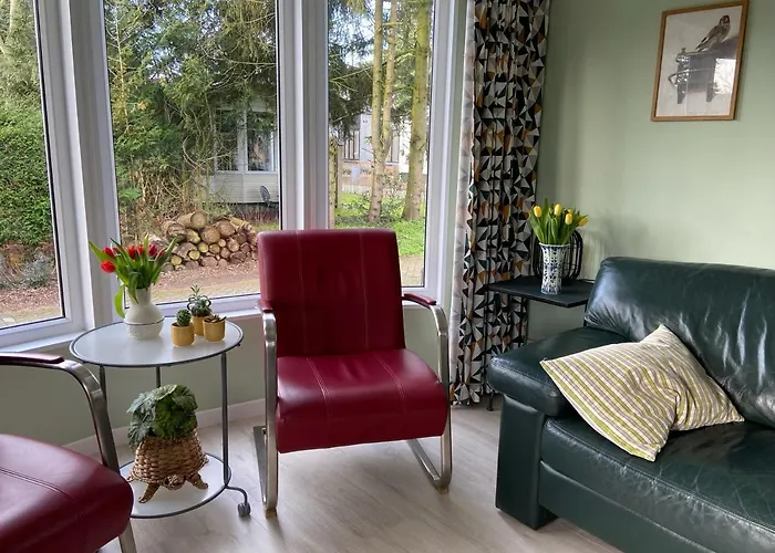 Chalet Ruim En Modern In De Veluwse Bossen