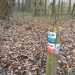 Ruim En Modern In De Veluwse Bossen Domek alpejski Putten