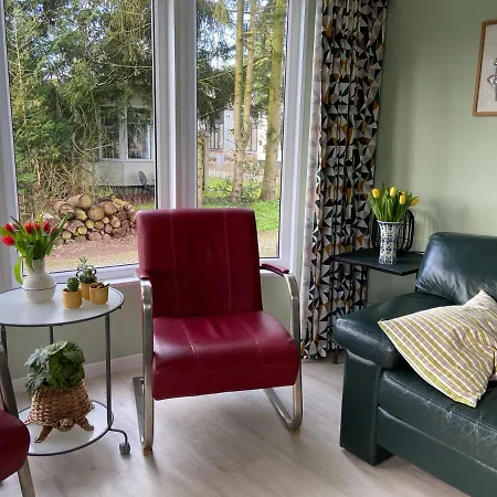 Chalet Ruim En Modern In De Veluwse Bossen