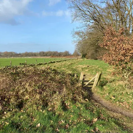 Ruim En Modern In De Veluwse Bossen Domek alpejski