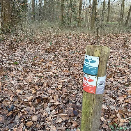 Ruim En Modern In De Veluwse Bossen Chalé Putten