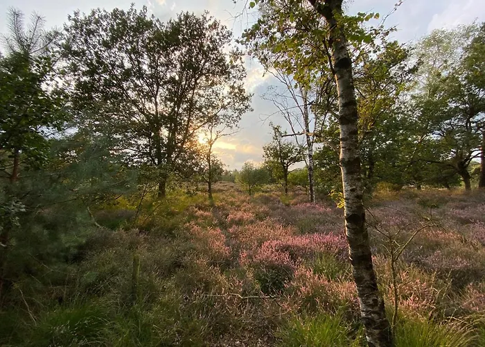 Ruim En Modern In De Veluwse Bossen Domek alpejski Putten