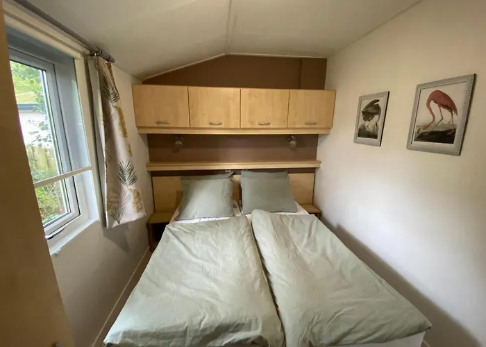 Ruim En Modern In De Veluwse Bossen * Putten