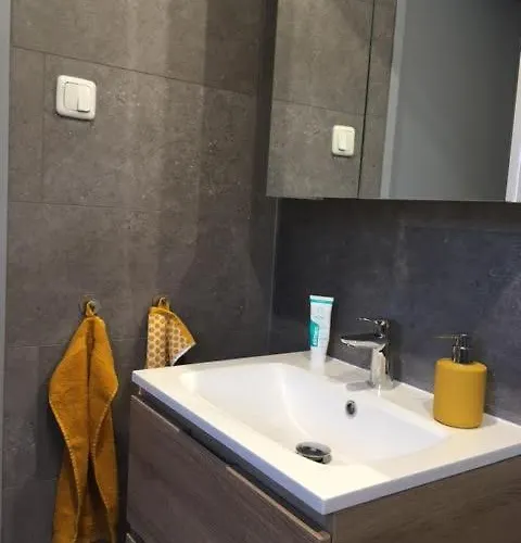 Ruim En Modern In De Veluwse Bossen Domek alpejski *