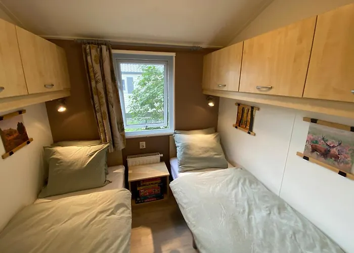 Ruim En Modern In De Veluwse Bossen Domek alpejski