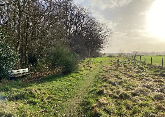 Domek alpejski Ruim En Modern In De Veluwse Bossen Putten