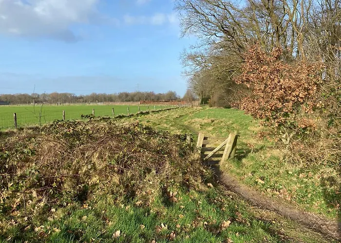 Ruim En Modern In De Veluwse Bossen Domek alpejski