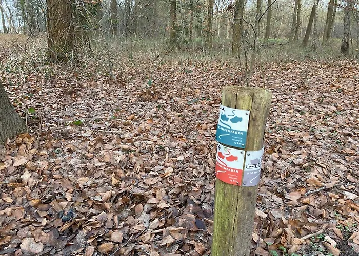 Ruim En Modern In De Veluwse Bossen Domek alpejski Putten